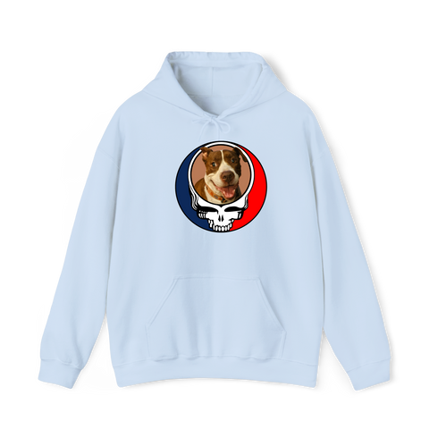 1614 - Custom Stealie Hoodie
