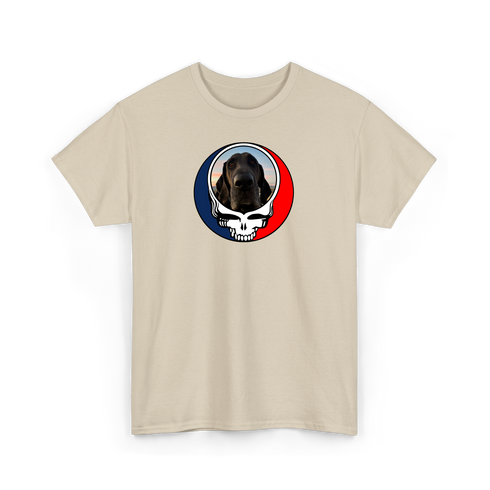 1694 - Custom Stealie T-Shirt