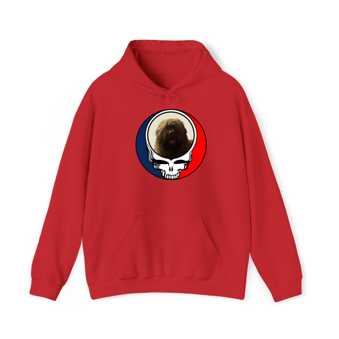 1461 - Custom Stealie Hoodie
