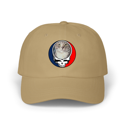1722 - Custom Stealie Dad Hat