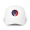 1597 - Custom Stealie Dad Hat