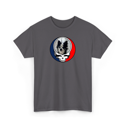 1709 - Custom Stealie T-Shirt