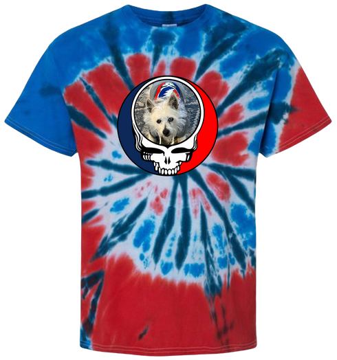 1716 - Custom Stealie Tie-Dye