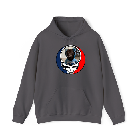 1646 - Custom Stealie Hoodie