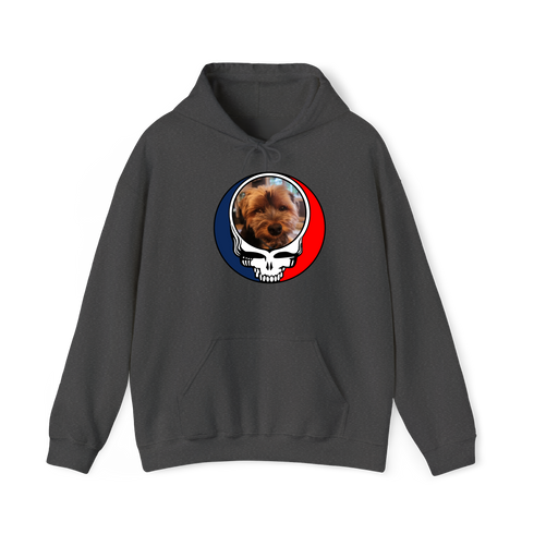 1625 - Custom Stealie Hoodie
