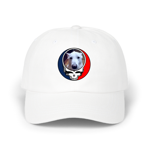 1569 - Custom Stealie Dad Hat