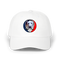 1569 - Custom Stealie Dad Hat