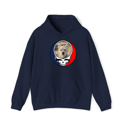 1504 - Custom Stealie Hoodie