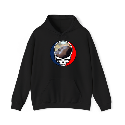 1634 - Custom Stealie Hoodie