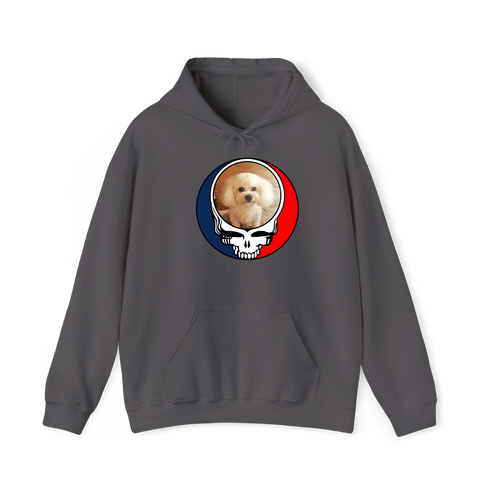 1641 - Custom Stealie Hoodie