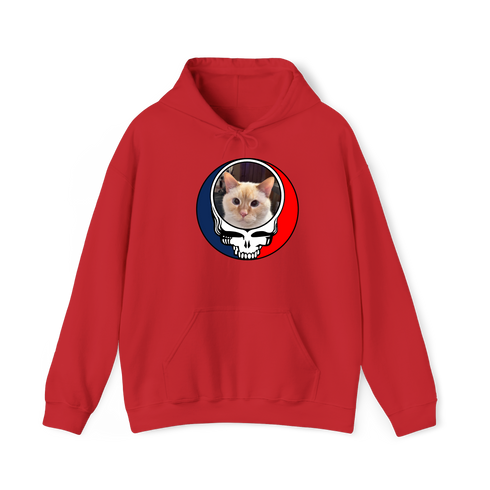 1484 - Custom Stealie Hoodie