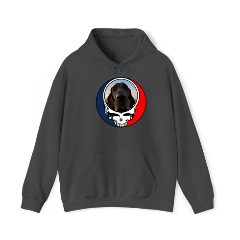 1694 - Custom Stealie Hoodie