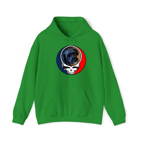 1459 - Custom Stealie Hoodie