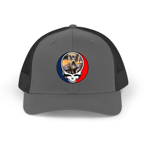 1696 - Custom Stealie Trucker Cap