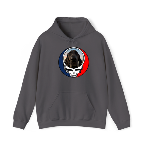 1694 - Custom Stealie Hoodie