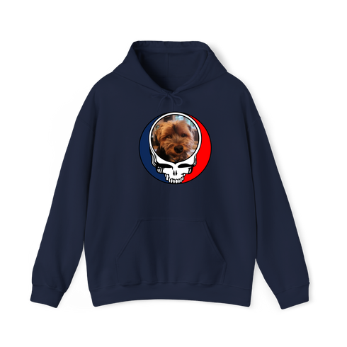 1625 - Custom Stealie Hoodie