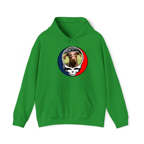 1463 - Custom Stealie Hoodie
