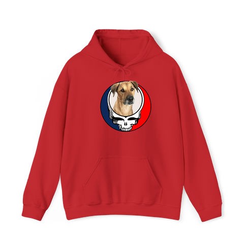 1653 - Custom Stealie Hoodie