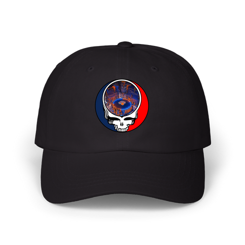 1597 - Custom Stealie Dad Hat