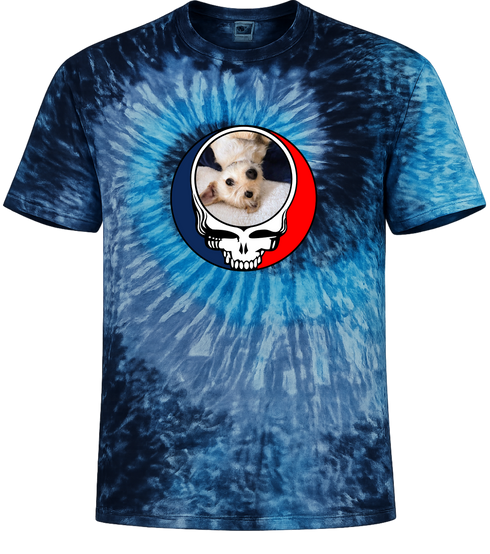 1615 - Custom Stealie Tie-Dye