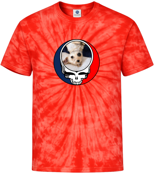 1615 - Custom Stealie Tie-Dye