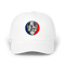 1443 - Custom Stealie Dad Hat