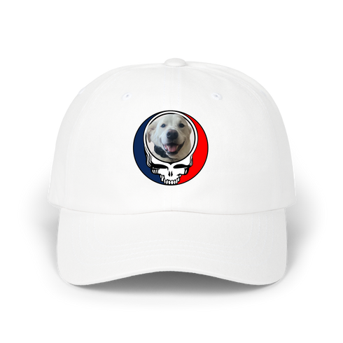 1564 - Custom Stealie Dad Hat