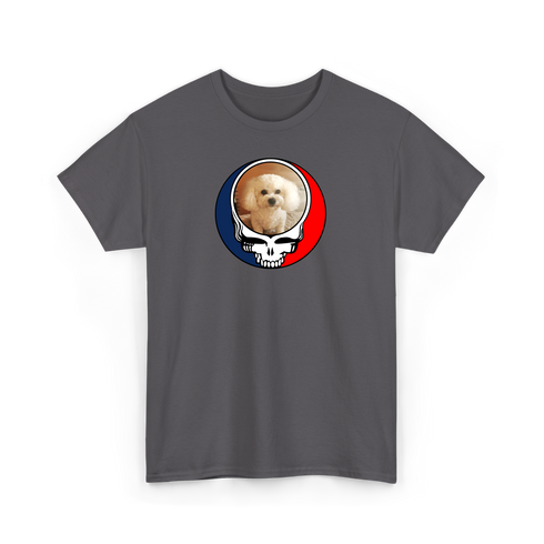 1641 - Custom Stealie T-Shirt
