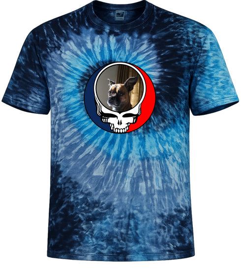 1705 - Custom Stealie Tie-Dye
