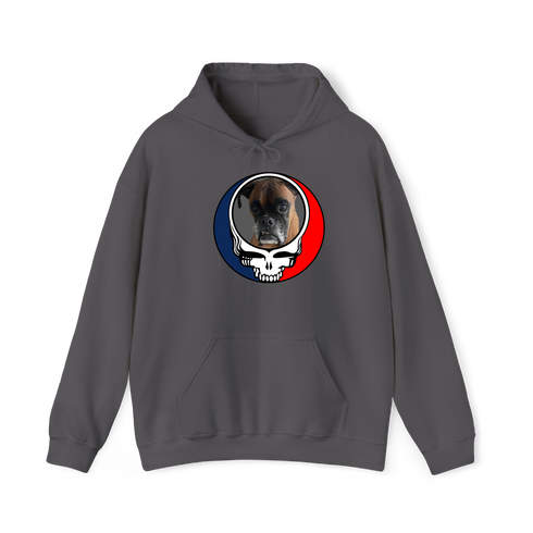 1451 - Custom Stealie Hoodie