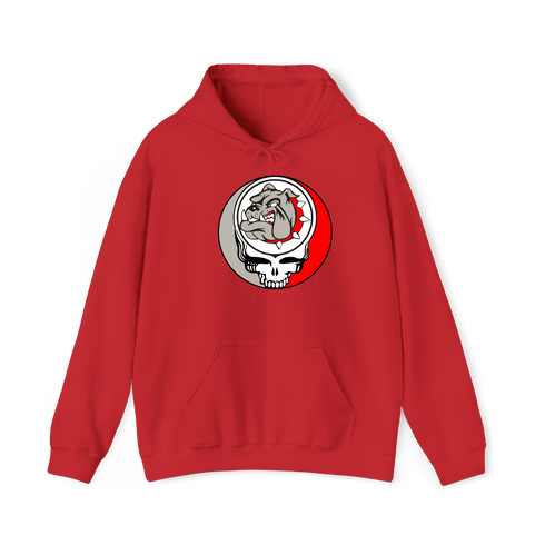 1732 - Custom Stealie Hoodie