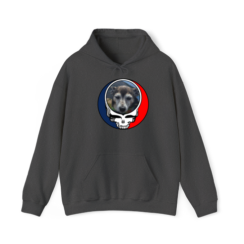 1500 - Custom Stealie Hoodie