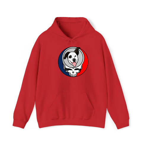 1613 - Custom Stealie Hoodie
