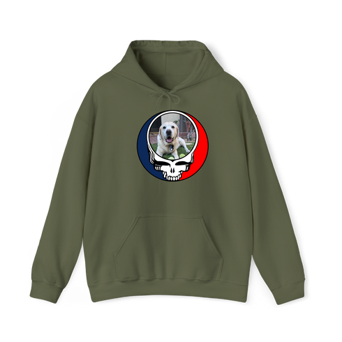 1443 - Custom Stealie Hoodie
