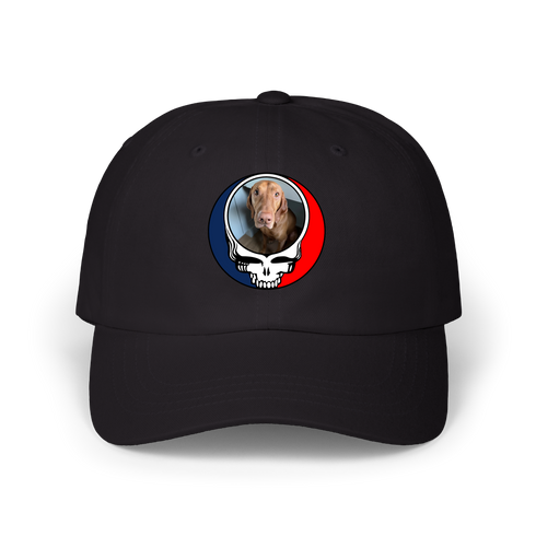 1693 - Custom Stealie Dad Hat