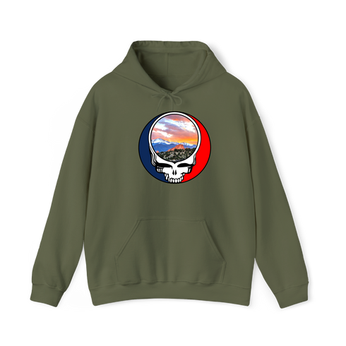 1596 - Custom Stealie Hoodie