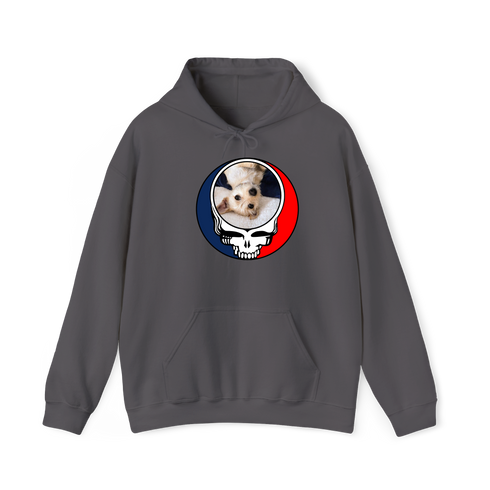 1615 - Custom Stealie Hoodie