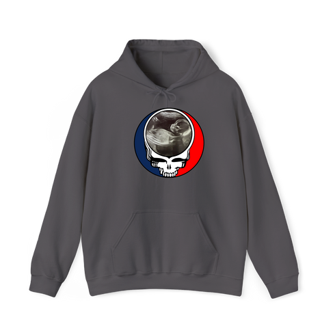 1689 - Custom Stealie Hoodie