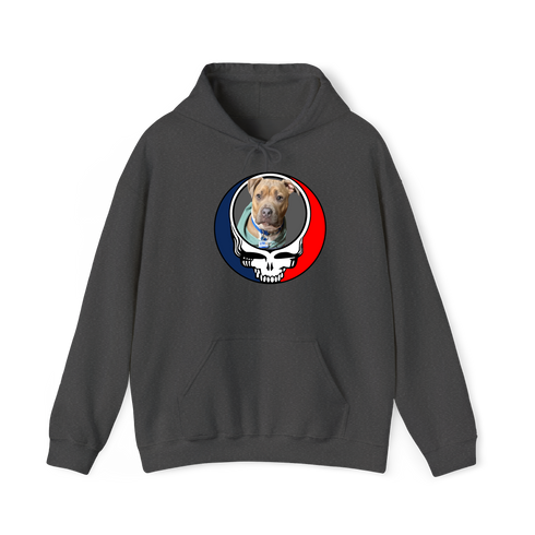 1662 - Custom Stealie Hoodie