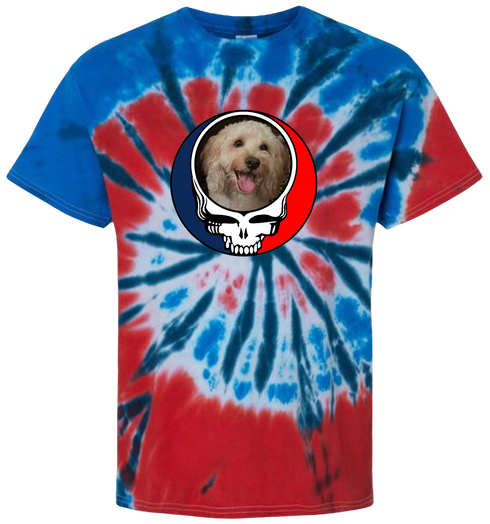 1542 - Custom Stealie Tie-Dye