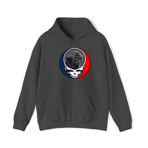 1561 - Custom Stealie Hoodie