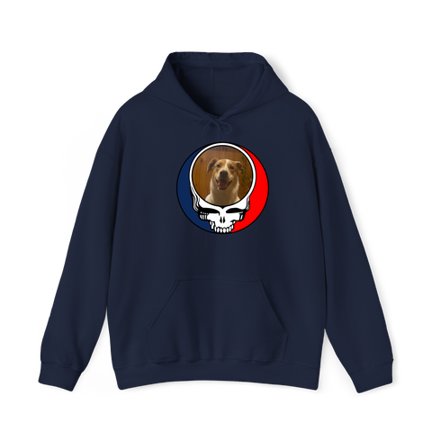 1656 - Custom Stealie Hoodie