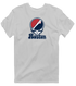 Boston Baseball Stealie Grateful Dead T-Shirt — Boston Red Sox — Sport Grey