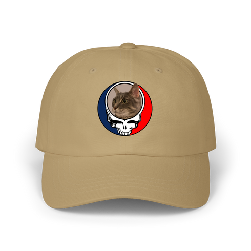 1434 - Custom Stealie Dad Hat