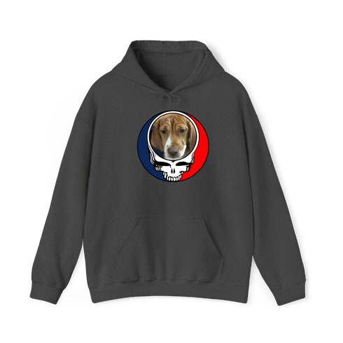 1503 - Custom Stealie Hoodie