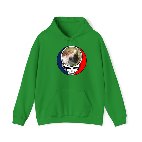 1682 - Custom Stealie Hoodie