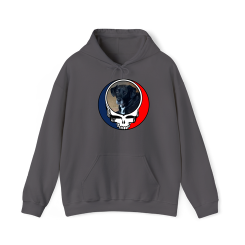 1568 - Custom Stealie Hoodie