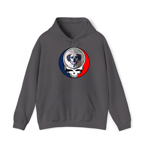 1755 - Custom Stealie Hoodie