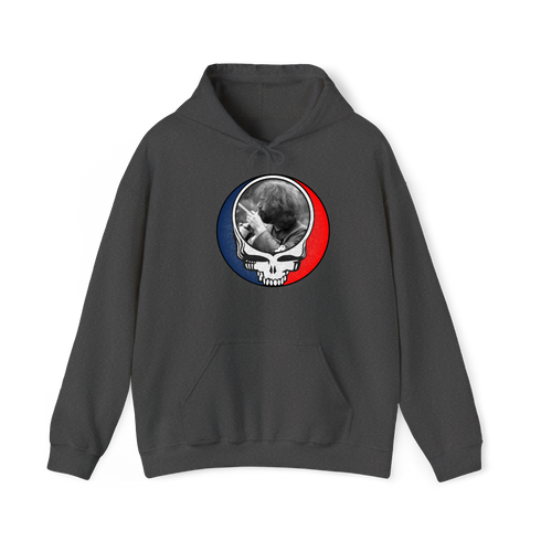 1565 - Custom Stealie Hoodie