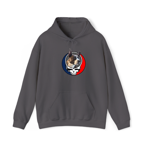 1450 - Custom Stealie Hoodie